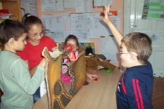 Szeged 2013. május 21.
